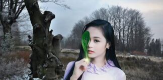 Ile sezonów na jednych oponach?
