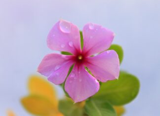 Jak kłaść kable? Jak kłaść kable?