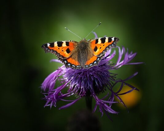 Jak się nazywa miedź z kabli?