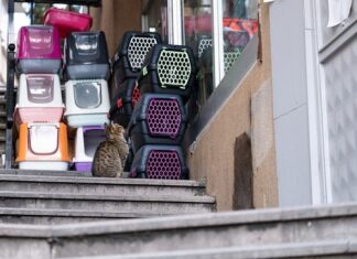 Gdzie był kręcony Transporter 3? Gdzie był kręcony Transporter 3?