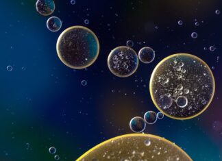 Ile kosztuje wymiana oleju w Porsche? Ile kosztuje wymiana oleju w Porsche?