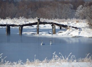 Ile przewodu na ogrzewanie podłogowe? Ile przewodu na ogrzewanie podłogowe?